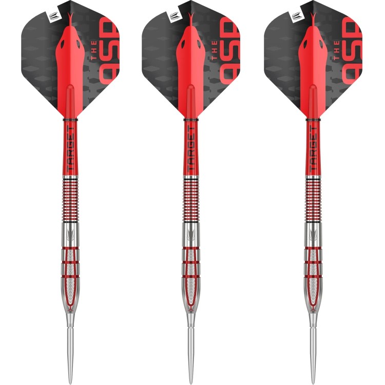 Lotki Rzutki Dart Target Nathan Aspinall G2 95% SP 22g, 23g, 24g, 26g