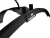 Torus Setup (1).webp