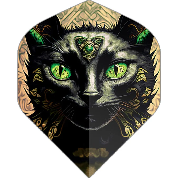 Black Cat.jpg