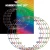 Bulls Colorful Ring 1.webp