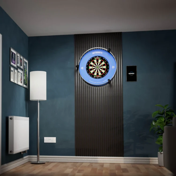 Autodarts 5.jpg