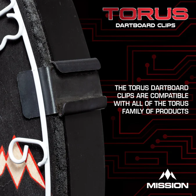 TorusDartboardClipImage2.jpg