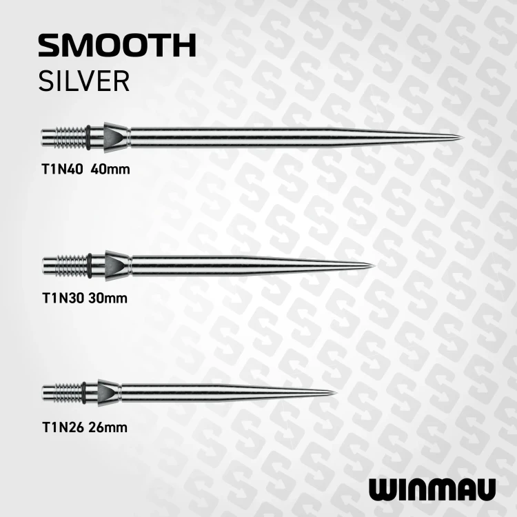 SWITCH_POINT_SILVER_SMOOTH.webp