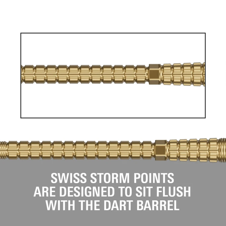 CHRONO SWISS STORM POINT - Gold 2.png