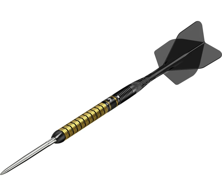 Jake-Kenyon-Divine-Darts 2.webp
